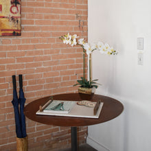 Load image into Gallery viewer, Natural Touchᵀᴹ Tabletop Artificial Orchid