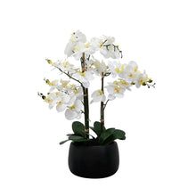 Load image into Gallery viewer, Natural Touchᵀᴹ Centerpiece Orchid