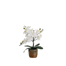 Load image into Gallery viewer, Desktop Artificial Orchid