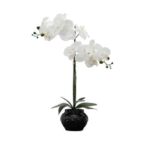 Load image into Gallery viewer, Desktop Orchid in Ceramic