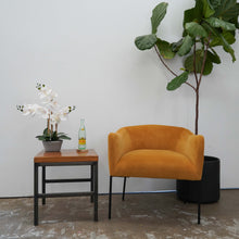 Load image into Gallery viewer, Desktop Orchid in Cement