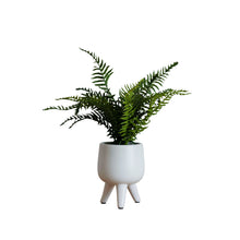 Load image into Gallery viewer, Desktop Artificial Palm