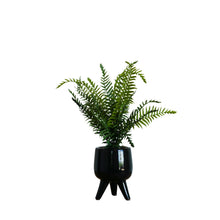 Load image into Gallery viewer, Desktop Artificial Palm