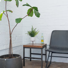 Load image into Gallery viewer, Desktop Artificial Palm