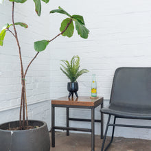 Load image into Gallery viewer, Desktop Artificial Palm