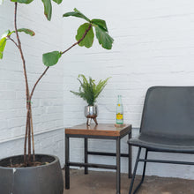 Load image into Gallery viewer, Desktop Artificial Palm