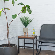 Load image into Gallery viewer, Tabletop Artificial Palm