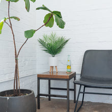 Load image into Gallery viewer, Tabletop Artificial Palm