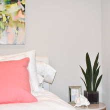 Load image into Gallery viewer, Tabletop Snake Plant