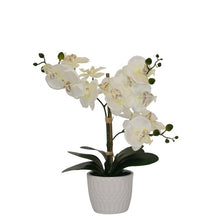 Load image into Gallery viewer, Desktop Artificial Orchid