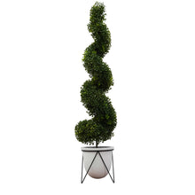 Load image into Gallery viewer, 4ft Topiary
