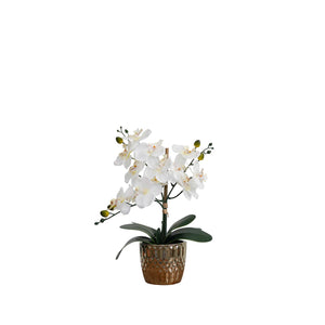 Desktop Artificial Orchid