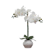 Load image into Gallery viewer, Desktop Orchid in Ceramic
