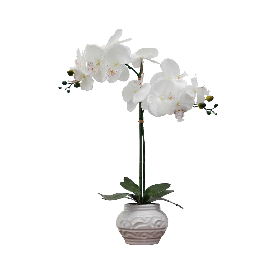 Desktop Orchid in Ceramic