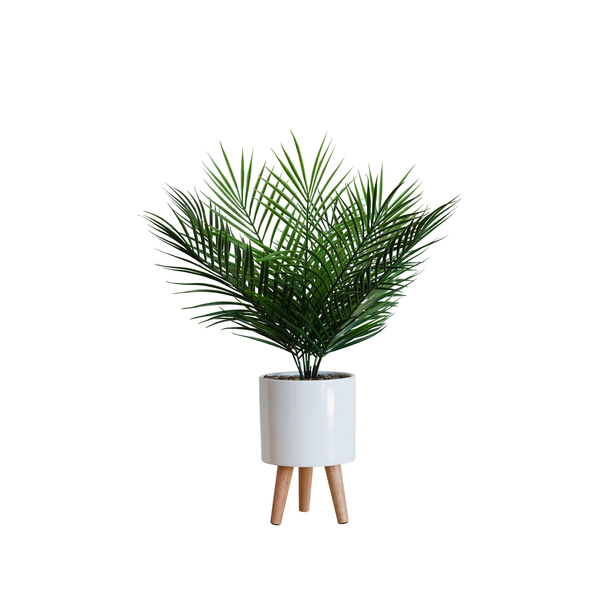 tabletop palm plant Tabletop Artificial Palm – Nature's Elements Floral Company