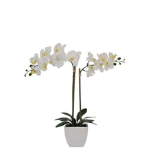 Load image into Gallery viewer, Tabletop Artificial Orchid
