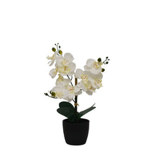 Load image into Gallery viewer, Desktop Artificial Orchid
