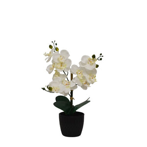 Desktop Artificial Orchid